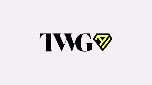 TWG AI PARTER UPDATE